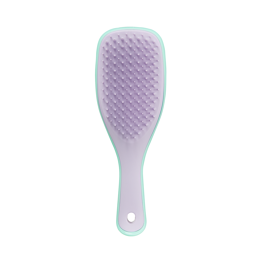 Mini Wet Detangler Mint-Lilac